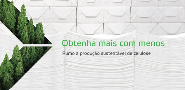 Rumo à produção de celulose mais sustentável